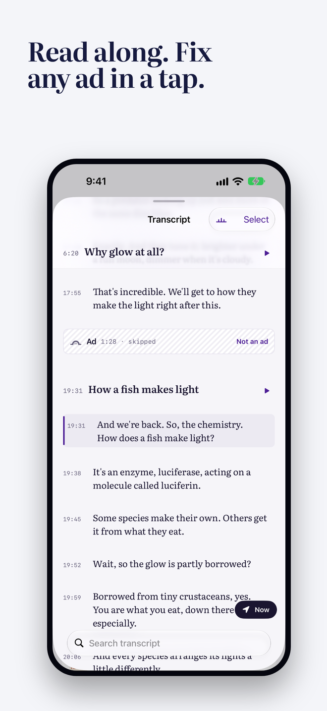 The transcript with a skipped ad block.
